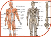 courses_pic3