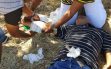 SANparksL1_poly3